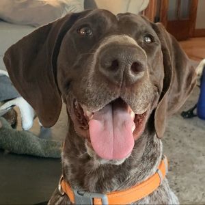 Meet your Posher, Jensen